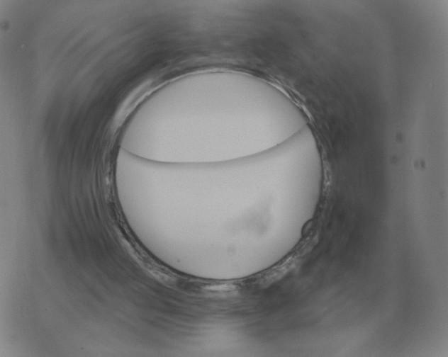 X0000074340053200609082107