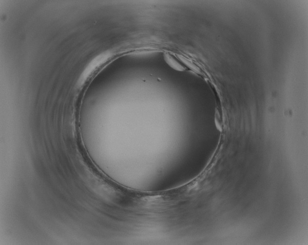 X0000074340054200609082107