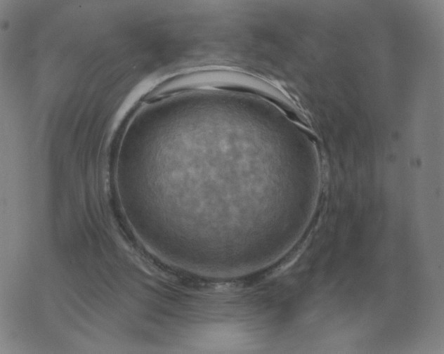 X0000074340056200609082107