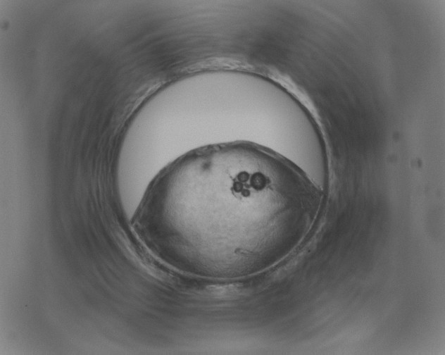 X0000074340057200609082107