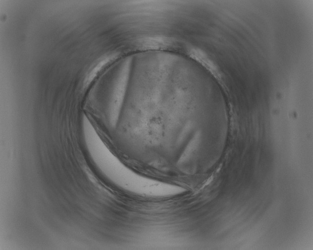 X0000074340058200609082107