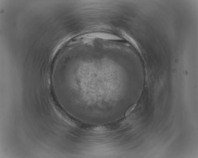 X0000074340059200609082107