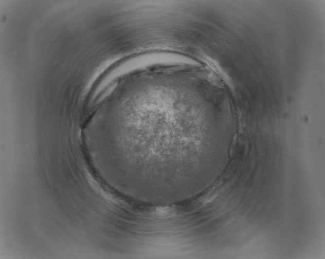 X0000074340060200609082107