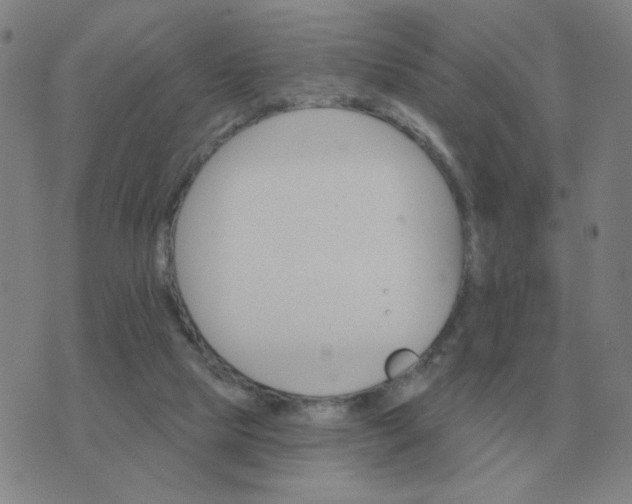 X0000074340065200609082107