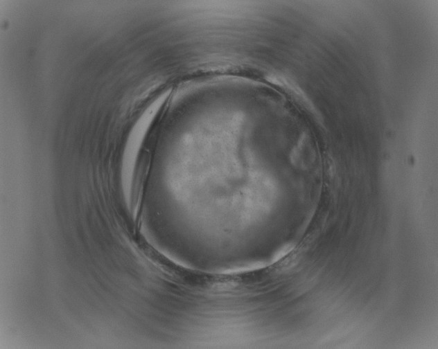 X0000074340066200609082107