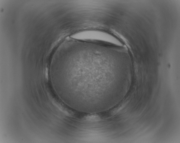 X0000074340067200609082107