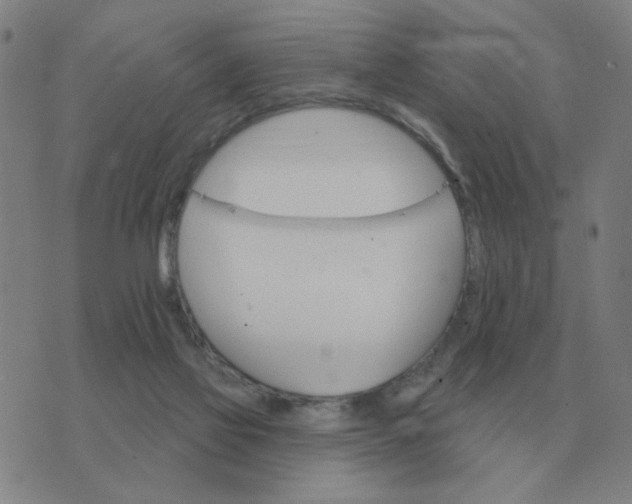 X0000074340069200609082107