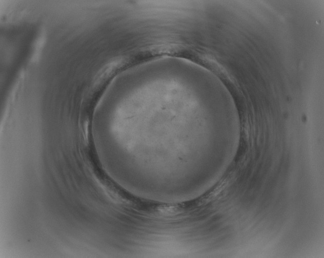 X0000074340070200609082108