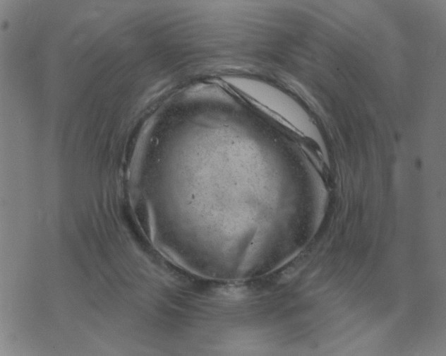 X0000074340071200609082108