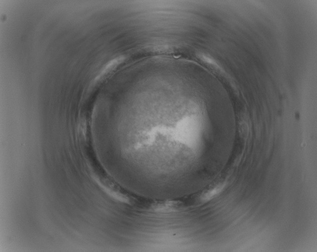 X0000074340072200609082108