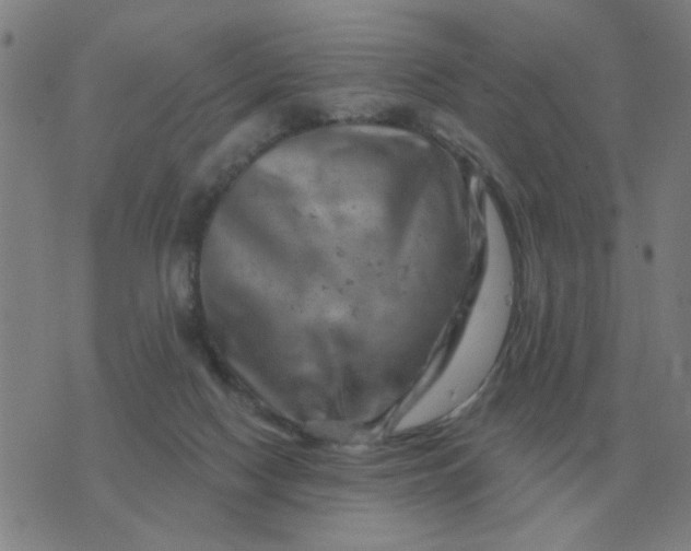 X0000074340074200609082108