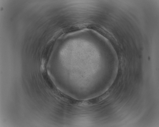 X0000074340075200609082108