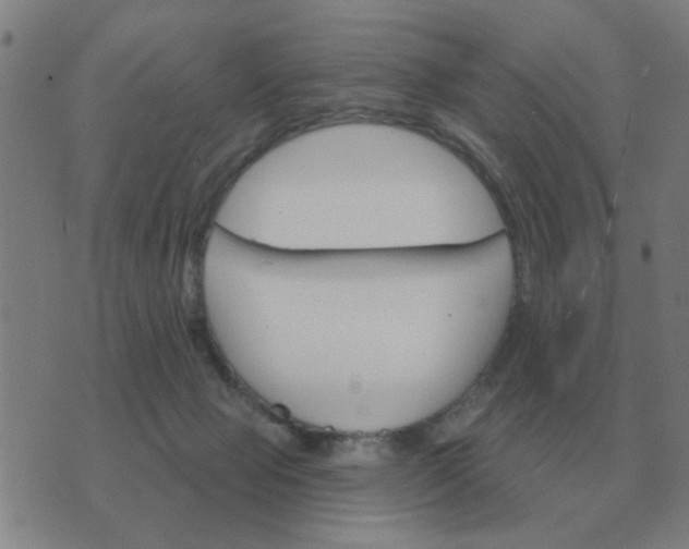 X0000074340077200609082108