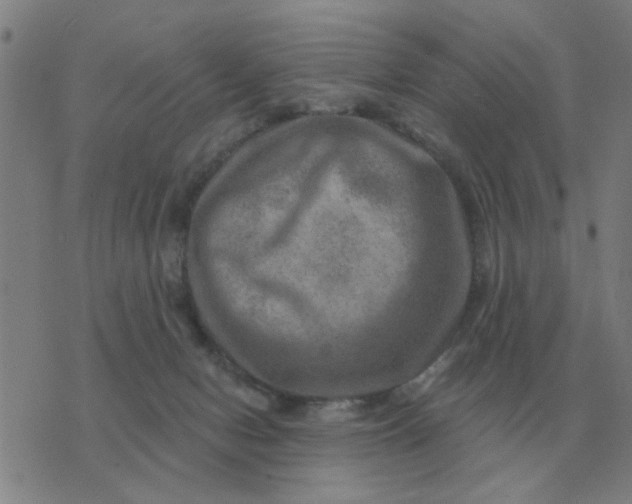 X0000074340078200609082108