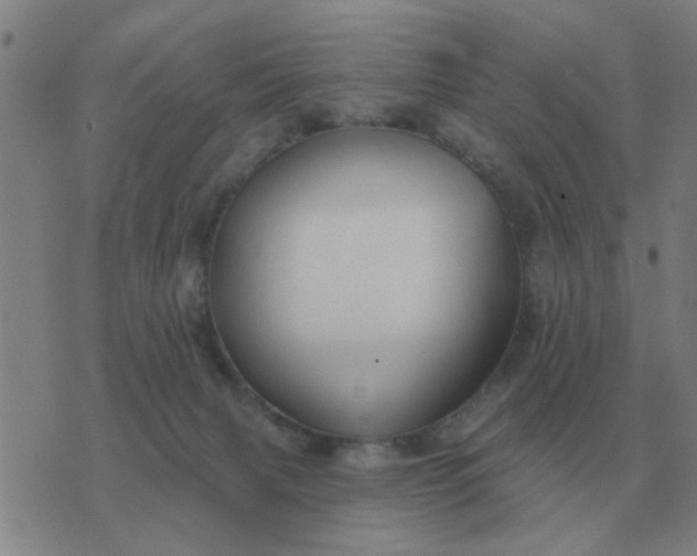 X0000074340079200609082108