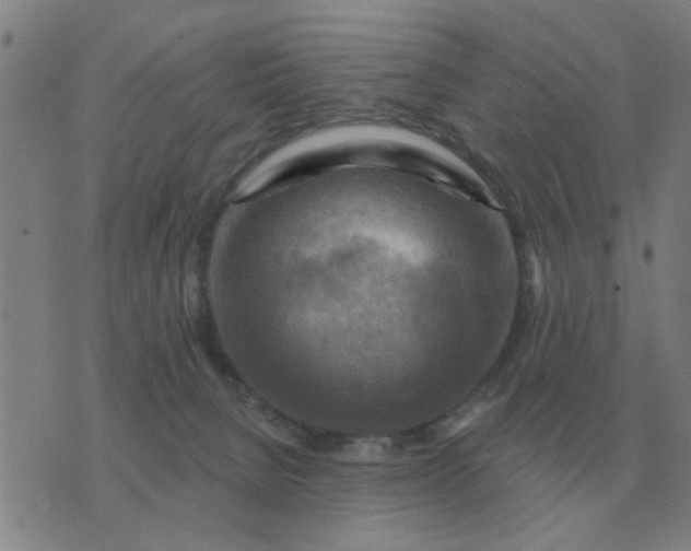 X0000074340080200609082108