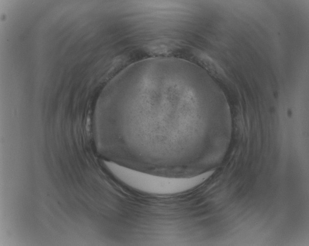 X0000074340081200609082108