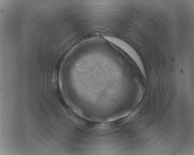 X0000074340082200609082108