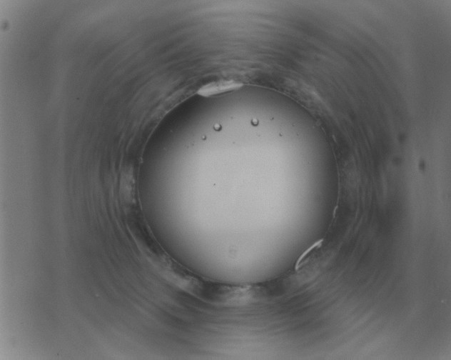 X0000074340083200609082108