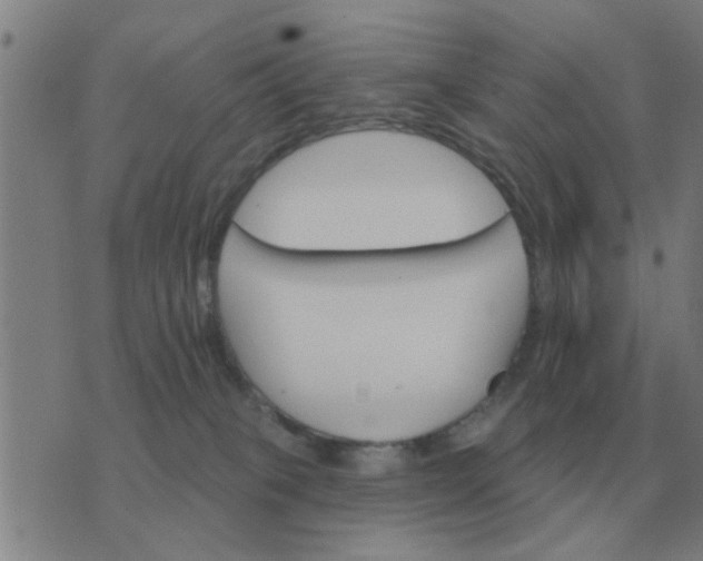 X0000074340085200609082108