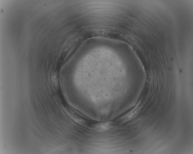 X0000074340086200609082108