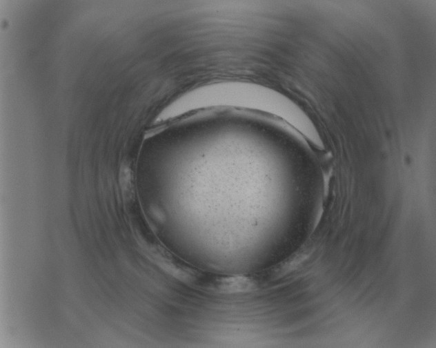 X0000074340087200609082108