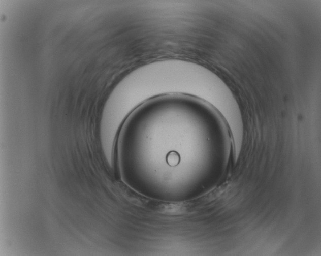 X0000074340088200609082108