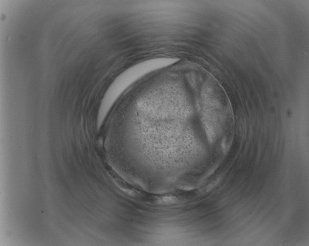 X0000074340091200609082108