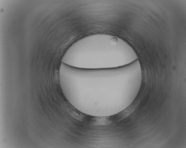 X0000074340093200609082108