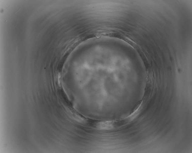 X0000074340094200609082108