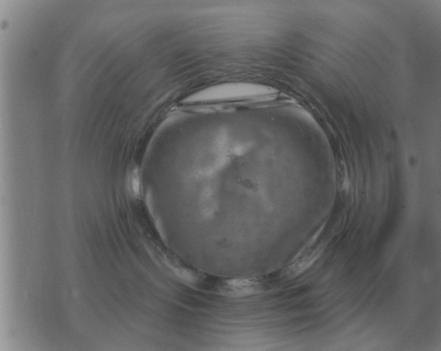 X0000074340095200609082108