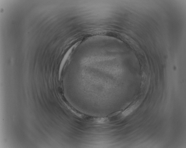 X0000074340096200609082108