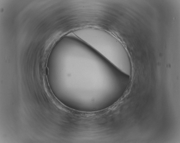 X0000074340097200609082107