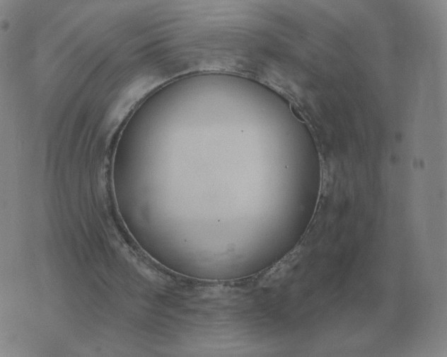 X0000074340098200609082107