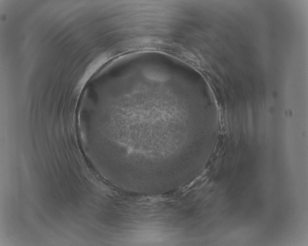 X0000074340099200609082107