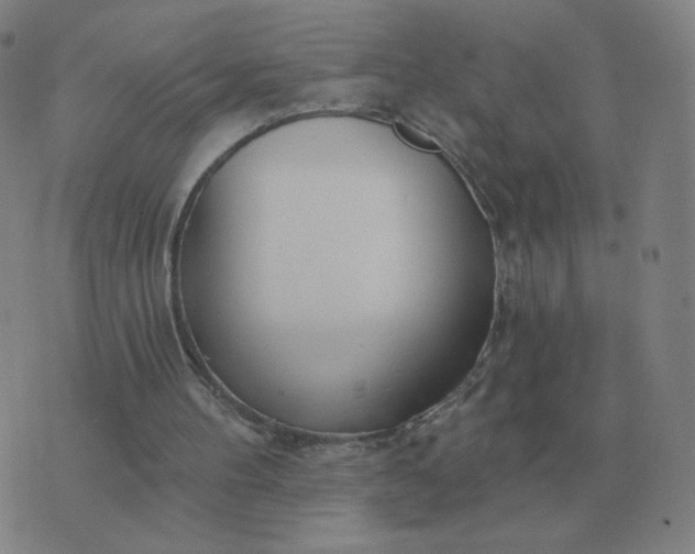 X0000074340100200609082107