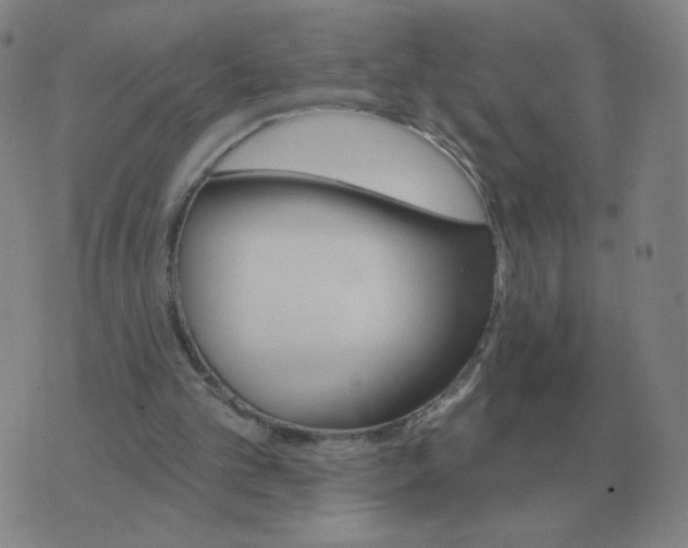 X0000074340101200609082107