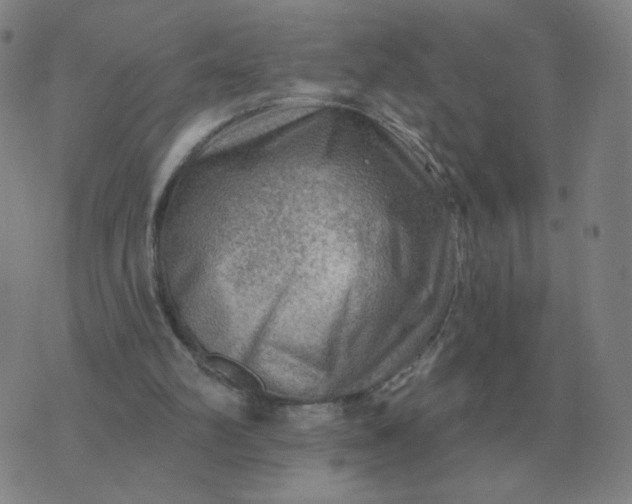 X0000074340102200609082107