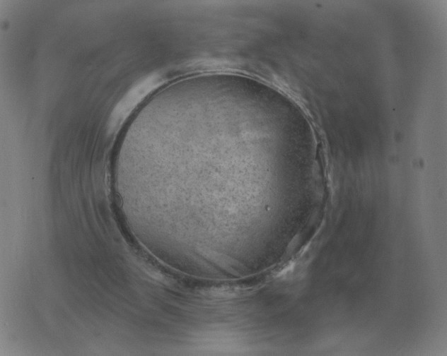 X0000074340103200609082107