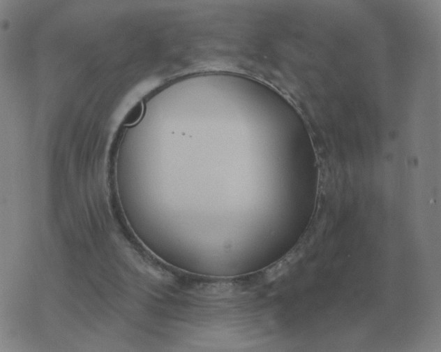 X0000074340104200609082107