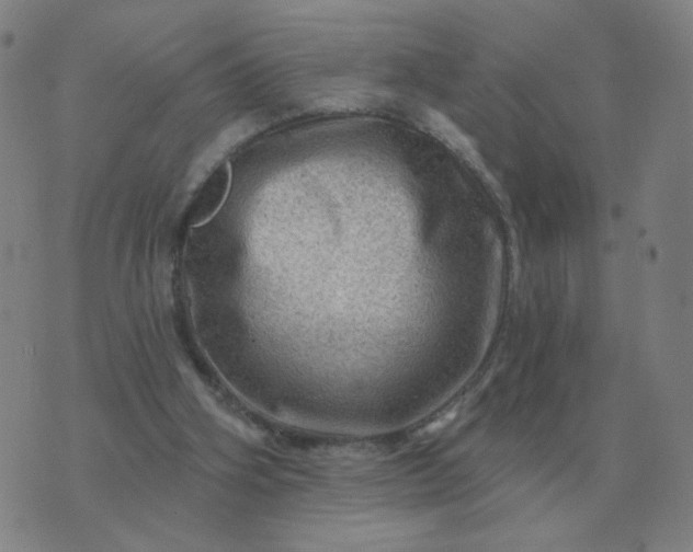 X0000074340106200609082107