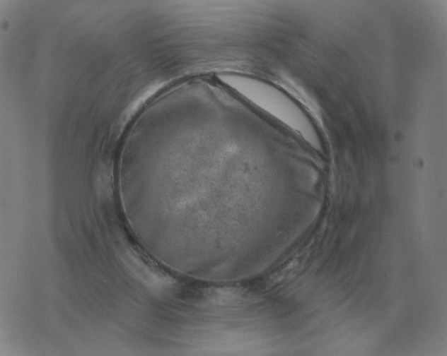 X0000074340107200609082107