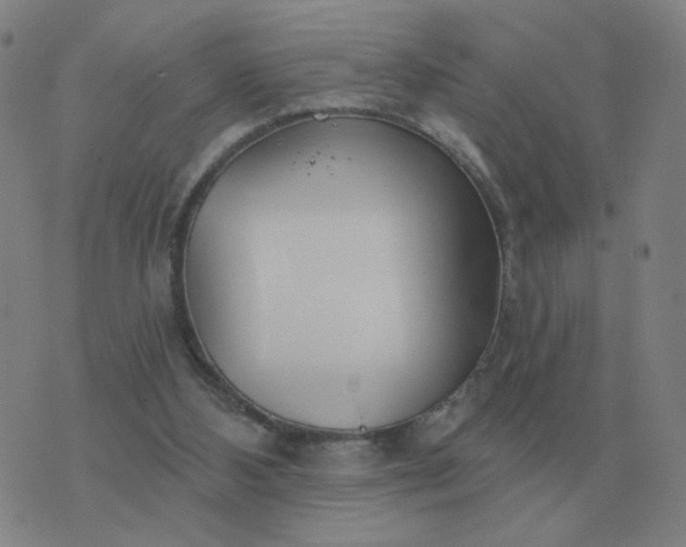 X0000074340108200609082107