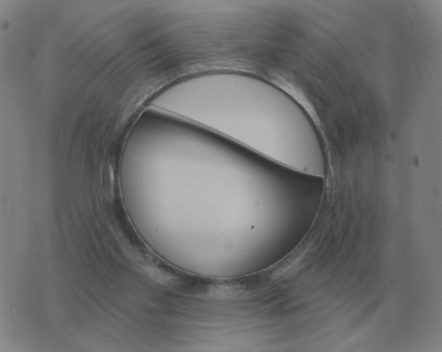 X0000074340109200609082107