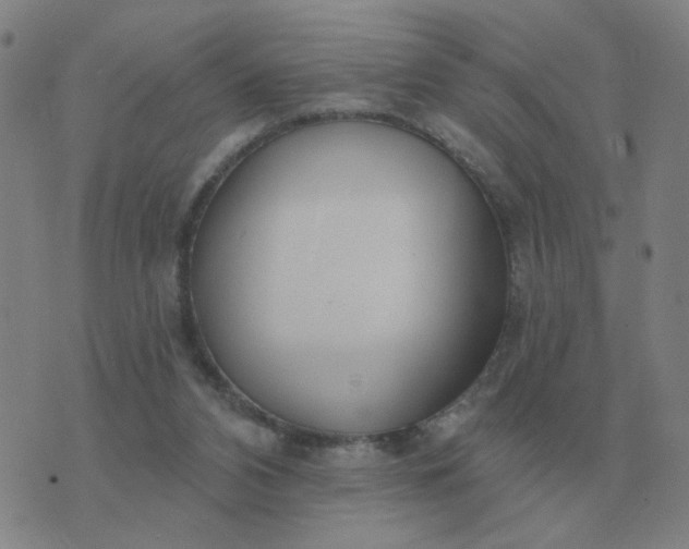 X0000074340112200609082107