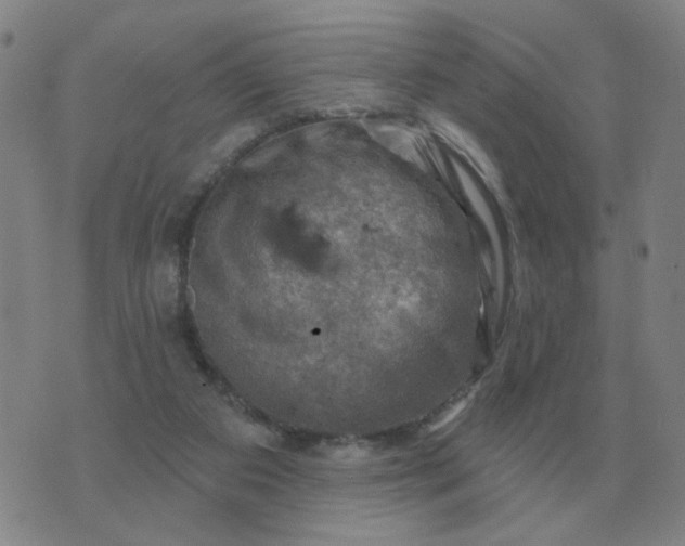 X0000074340113200609082107