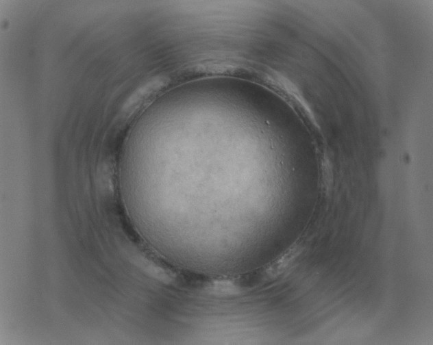 X0000074340114200609082107