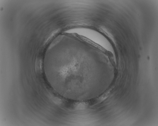 X0000074340115200609082107