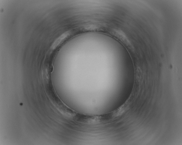 X0000074340116200609082107