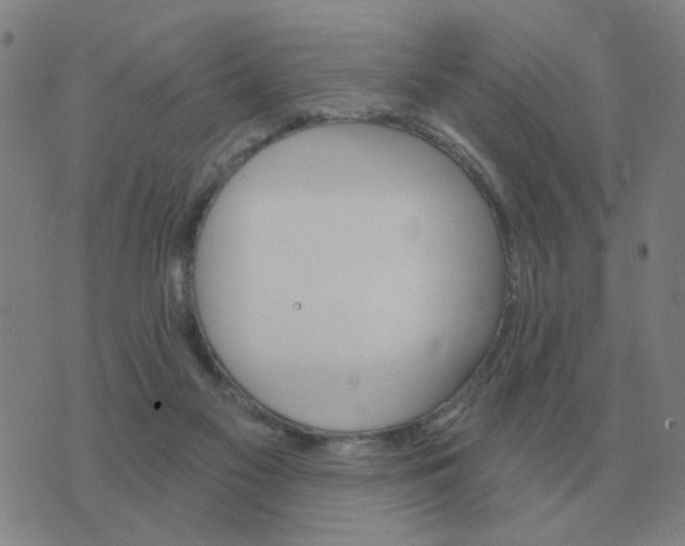 X0000074340117200609082107